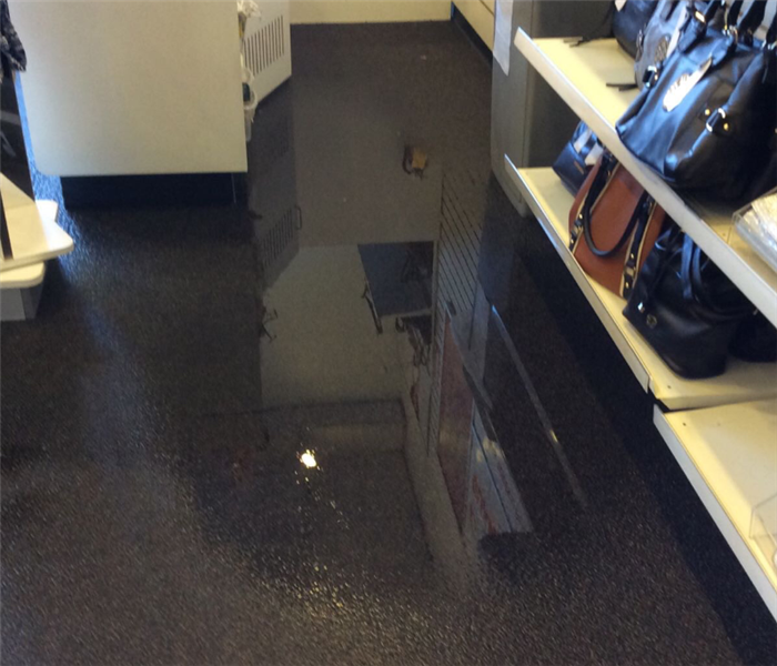Water damaged carpet in a retail store