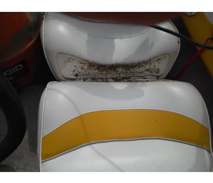 Black mold on a boat seat cushion