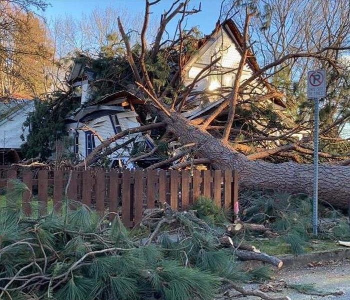 Windstorm Lands Tree on Spokane Home