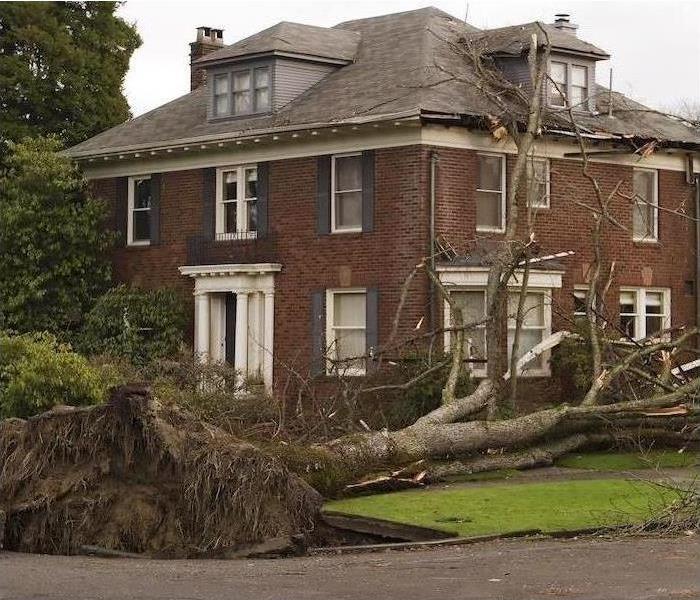 Home with fallen tree