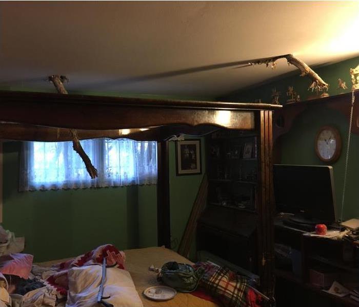 Tree branches protruding through bedroom ceiling